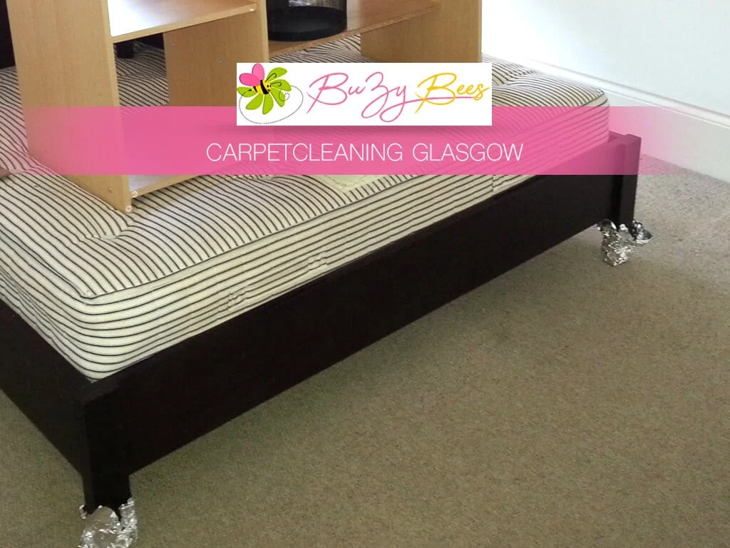 Carpet cleaning result