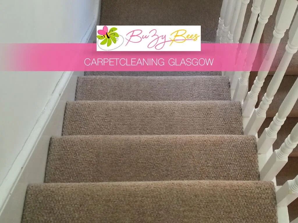 Carpet cleaning result 2