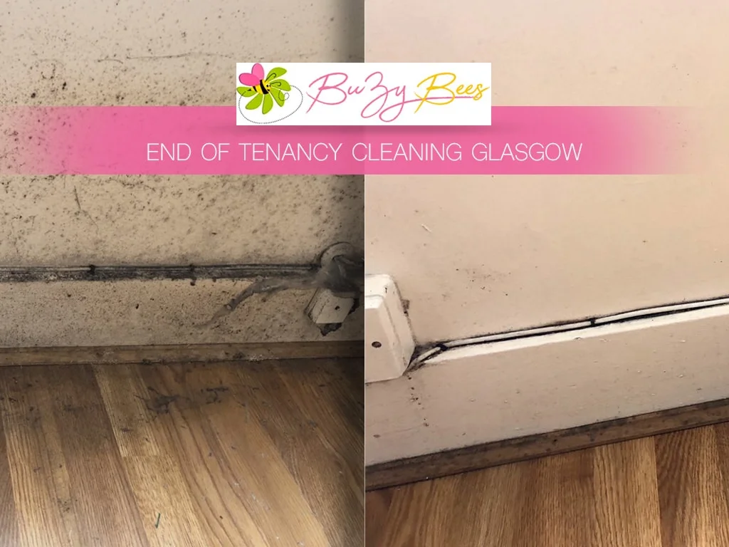 End of tenancy cleaning result