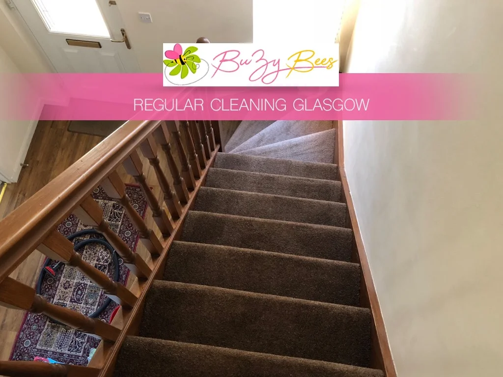 Regular domestic cleaning in a Glasgow home