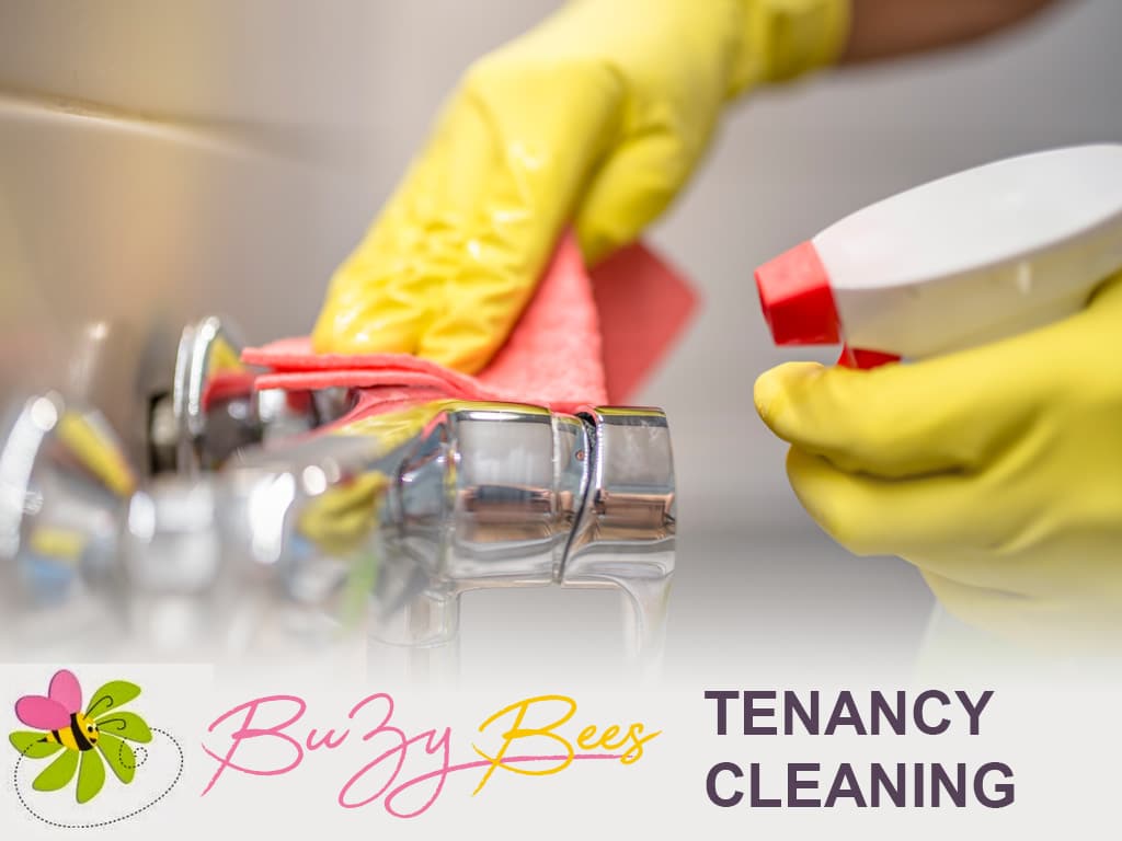 End of Tenancy Cleaning Glasgow BuZy Bees Cleaners Glasgow