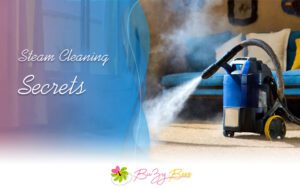 Steam Cleaning Secrets, Buzy Bees Cleaning Blog