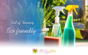 eco-friendly-end-of-tenancy-cleaning-buzy-bees-blog