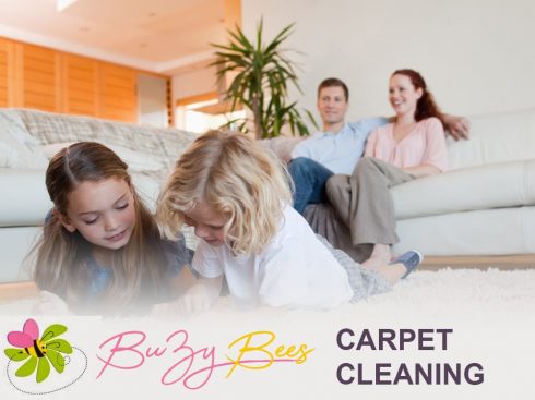 image of carpet cleaning